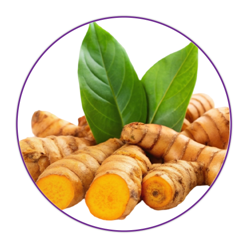 Turmeric