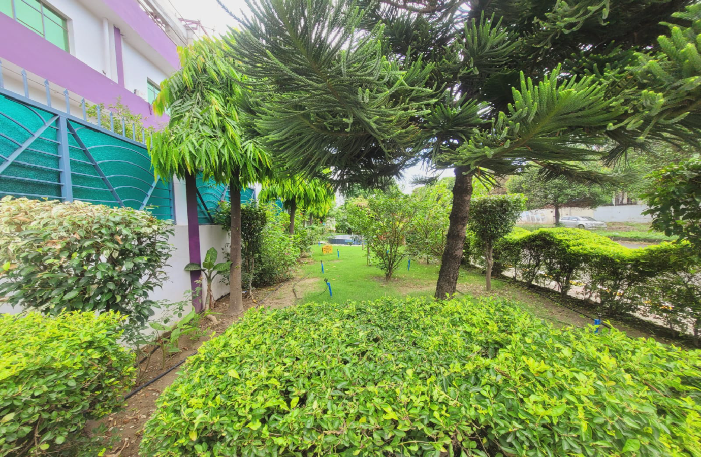 Greenbelt outside factory