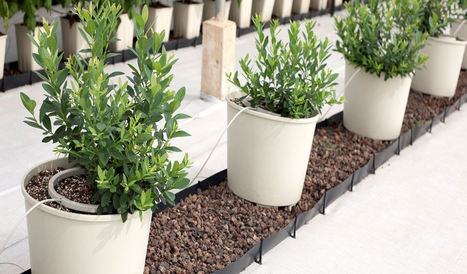 Automatic water filter plant